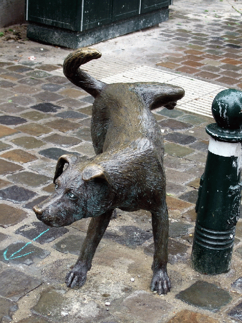 Zenneke - magical pissing dog in Brussels