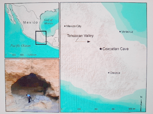 Coxcatlan Cave and its location, From Uploaded