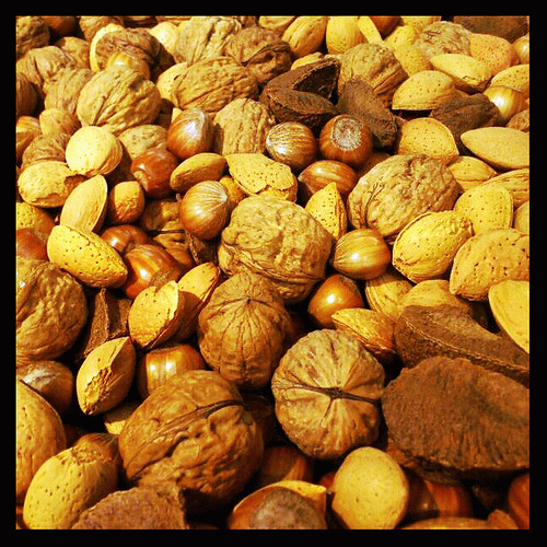 Nuts, From FlickrPhotos