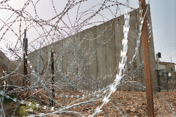 Razor wire Wall, Occupied Palestine, From CreativeCommonsPhoto