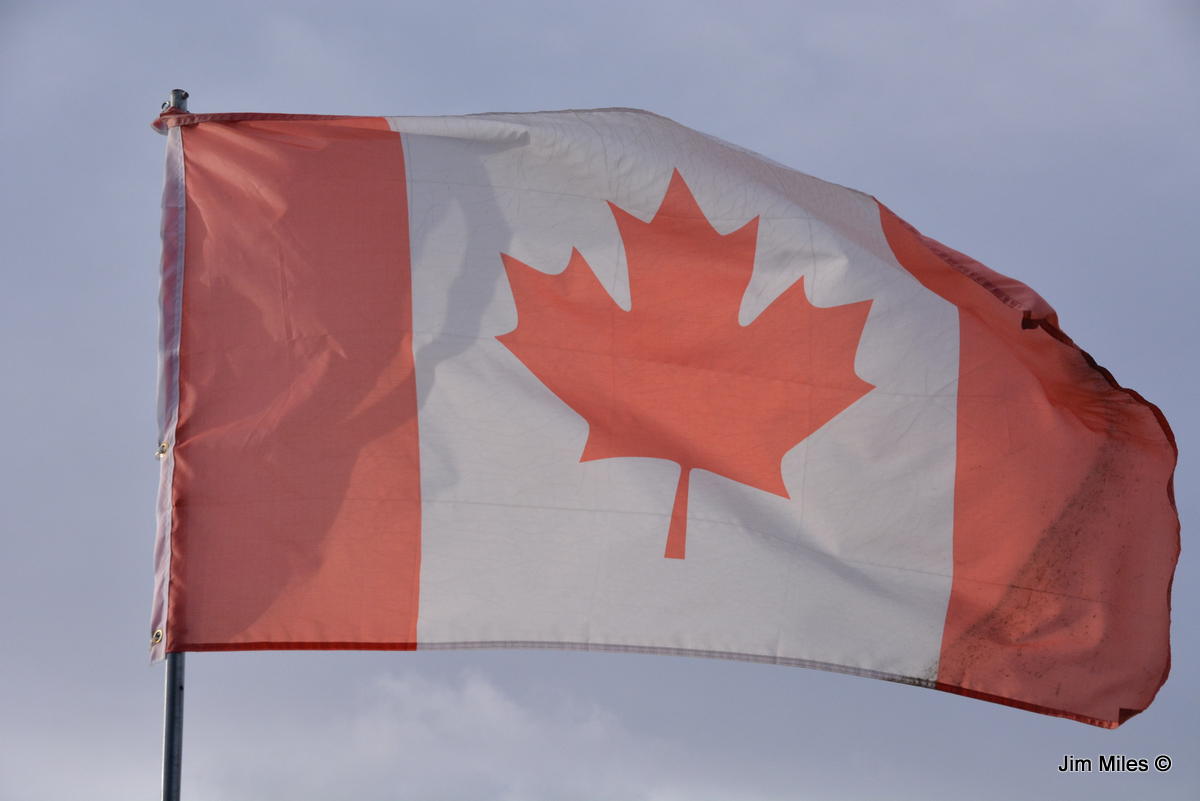 Canadian flag, From Uploaded