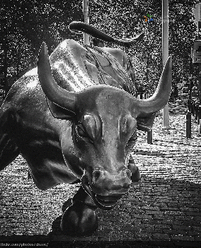 Wall Street Bull, From CreativeCommonsPhoto