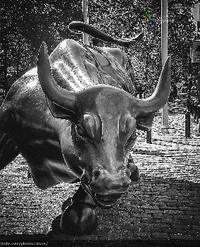 Wall Street Bull