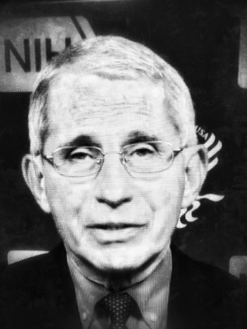 Dr. Anthony Fauci, From CreativeCommonsPhoto