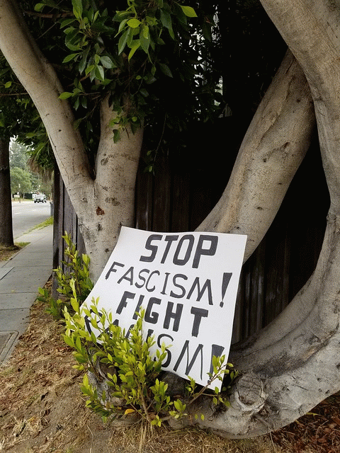 Anti-fascist tree, From FlickrPhotos