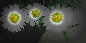 Daisy chain......