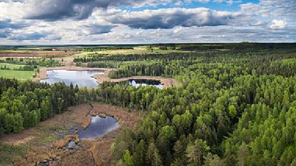 Lithuania is heavily forested