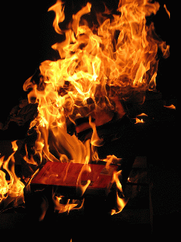 Book burning, From CreativeCommonsPhoto