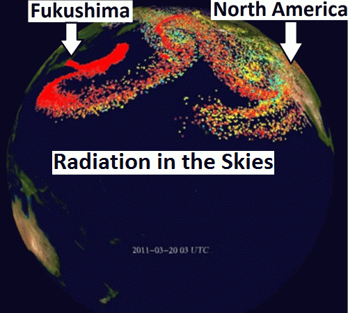 Figure 2: A Fukushima Radioactive Dust Cloud Covered the Northern Pacific Ocean and Entered North America - Chernobyl Radioactive Contamination Spread across Northern Europe and Northern Ireland