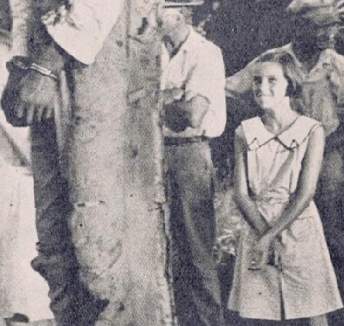 detail of a Lynching Postcard detail of a Lynching Postcard