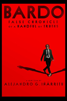 poster for film Bardo (2022), From Uploaded