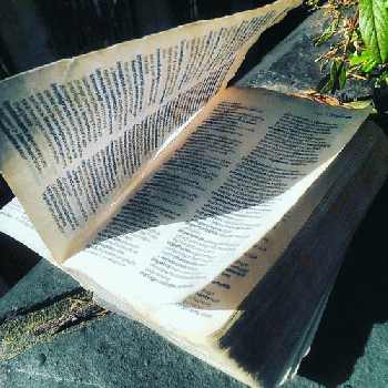 Abandoned Dictionary, From FlickrPhotos