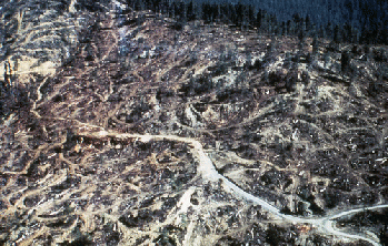 Redwood Creek Clear Cuts: 1970s, From FlickrPhotos