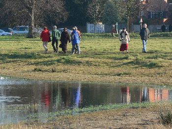 Voters reflected in pond., From CreativeCommonsPhoto