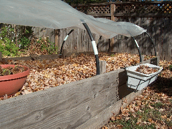 Raised bed, ready for winter