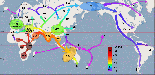 early migration patterns, From Uploaded