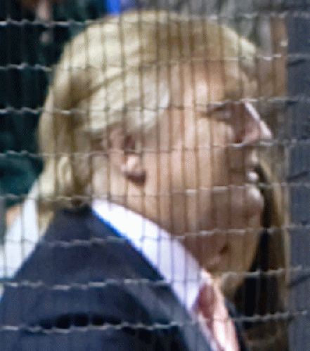 Donald Trump, detail, From Uploaded