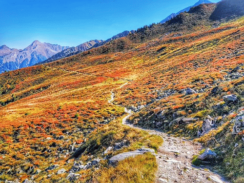 Ahornspitze path - Mayrhofen Austria, From FlickrPhotos