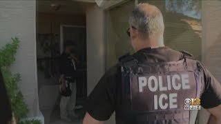 ICE Immigration Efforts, From YouTubeVideos