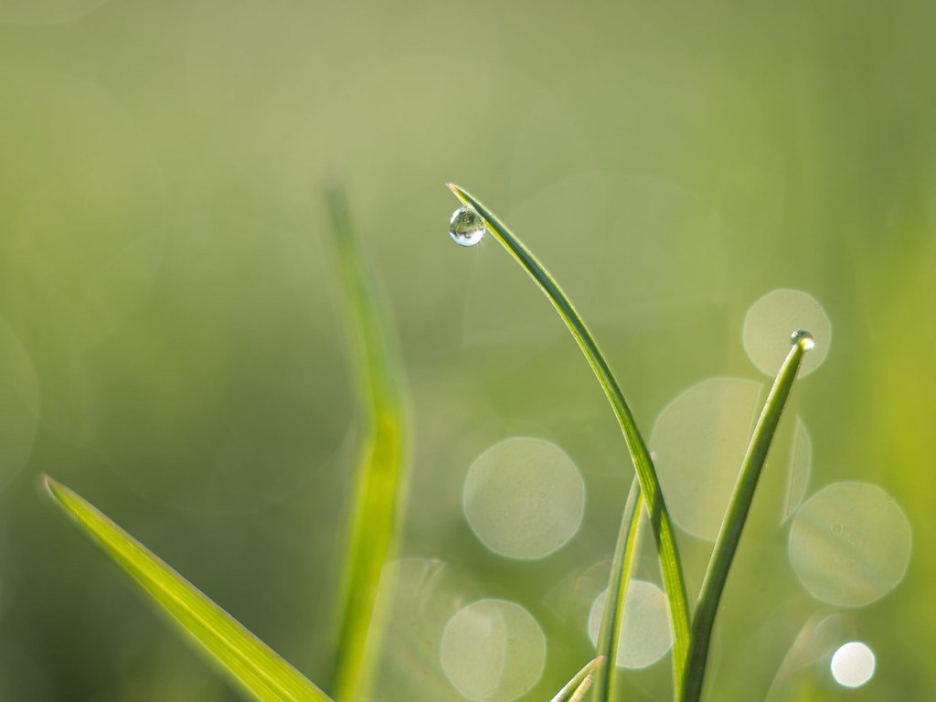 Tis a gift to be simple