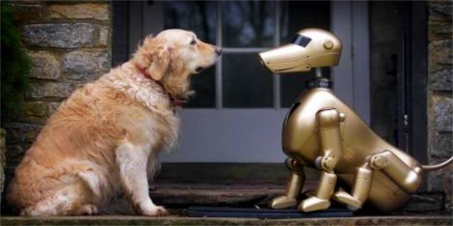 robotic-pets-may-replace-real-ones