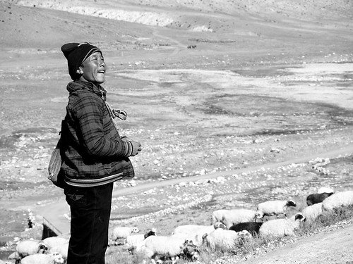 Shepherd, From FlickrPhotos