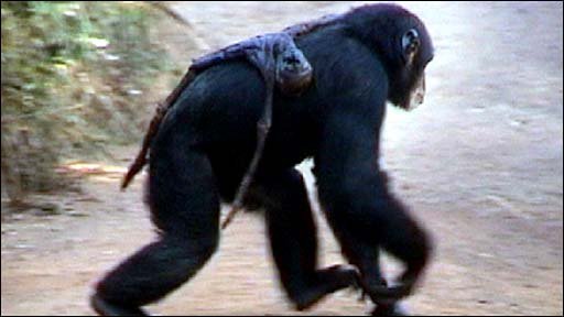 Image from a quicklink, From Images