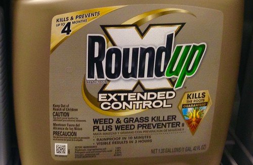 Roundup, From FlickrPhotos