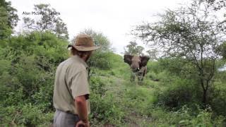 Alan McSmith elephant encounter1