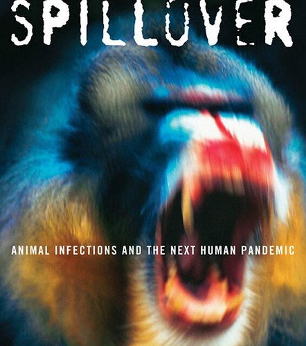 Be afraid, very afraid!, From FlickrPhotos