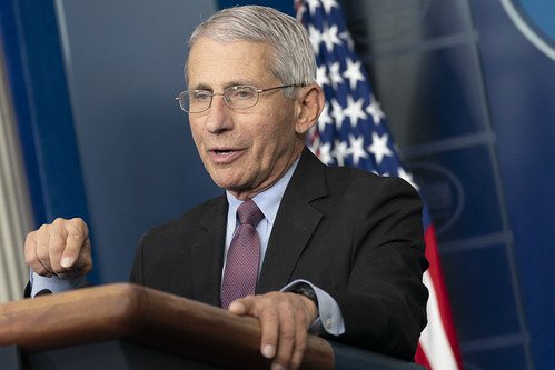 Fauci Fauci