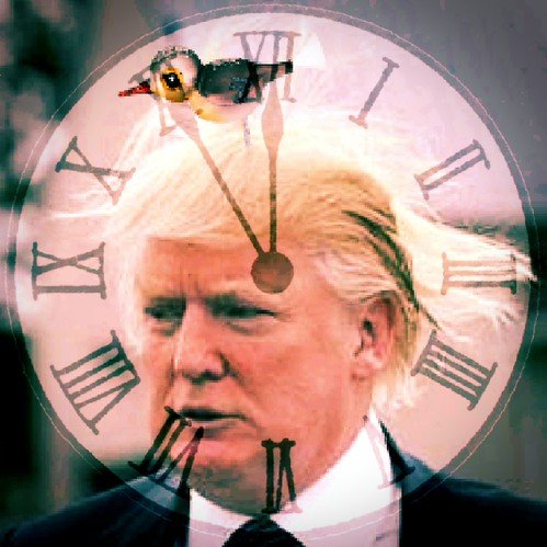It is getting close to .Times Up,. Trump