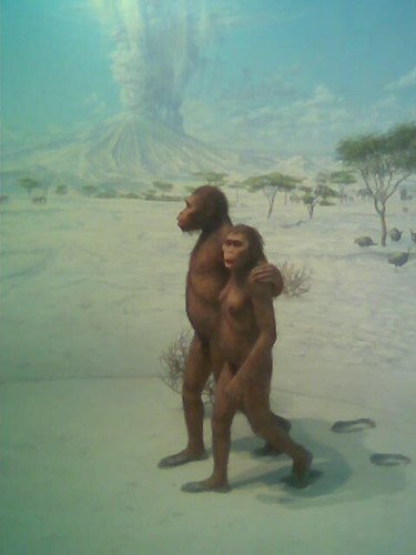 Primitive Man