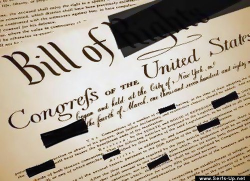 Serfs Up! Bill of Rights