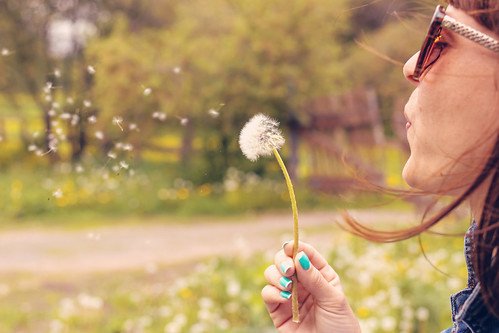 Woman blowing on dandelion, From FlickrPhotos
